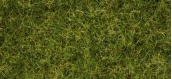 Train électrique : NOCH NO 07076 - Pré mélange d'herbes d'été 100g 